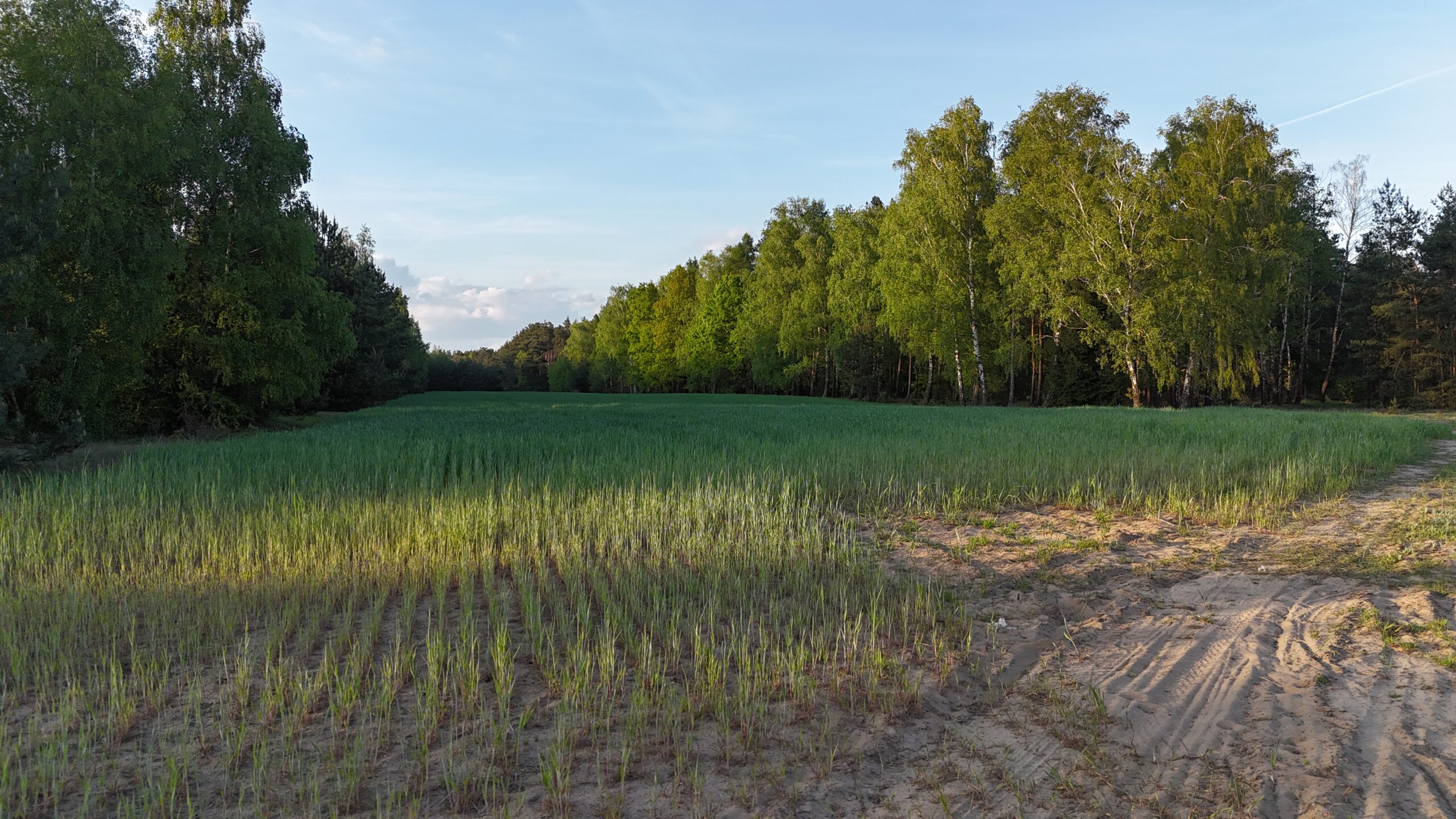 Działka pod inwestycję BTS