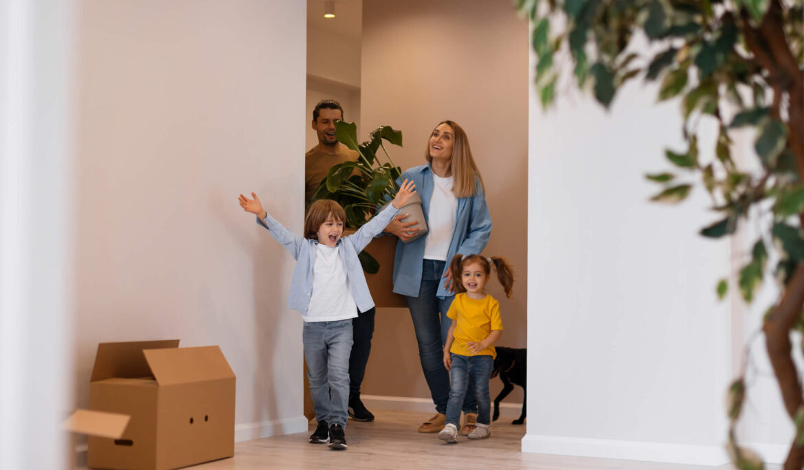 Property 360 Biuro Nieruchomosci Siedlce